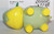 Pokemon Turtwig Jakks toy