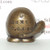 Pokemon Poliwag Brass Metal Figure Bandai