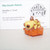 Pokemon Hippopotas Encyclopedia Mini Figure Bandai Chou Get