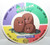 Pokemon Dugtrio NAGATANIEN Disc Nintendo
