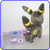 Pokemon Umbreon Plush Keychain Pokemon Center I Love Eevee