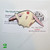 Tsubasa Reservoir Chronicle Mokona Pins Clamp