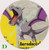 Pokemon - Custom Buttons & Key Chains - Aerodactyl