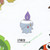 Pokemon Kanto to Kalos Stickers Litwick
