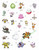 Pokemon Regional Pass Stickers 