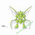 Pokemon Regional Pass Sticker Scyther
