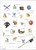 Pokemon Epic Stickers 