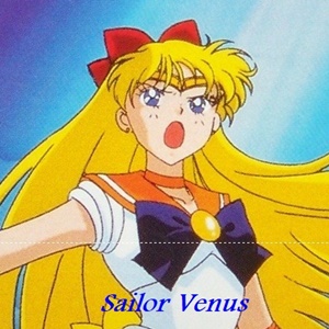 Sailor Venus Products