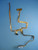 Dell Latitude E6500 Precision LCD Video Display Data Cable D966P DC02C00080L