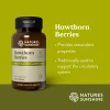 Hawthorn Berries (100 caps)