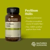 Psyllium Hulls (100 caps)