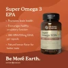 Nature's Sunshine Super Omega-3 EPA