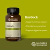 Burdock (100 caps)