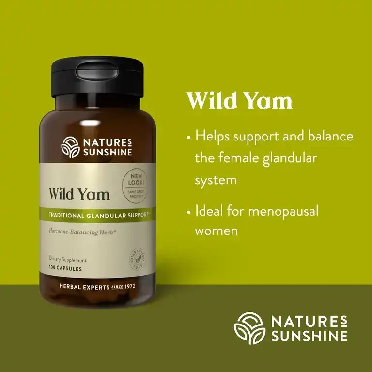 Wild Yam (100 caps)