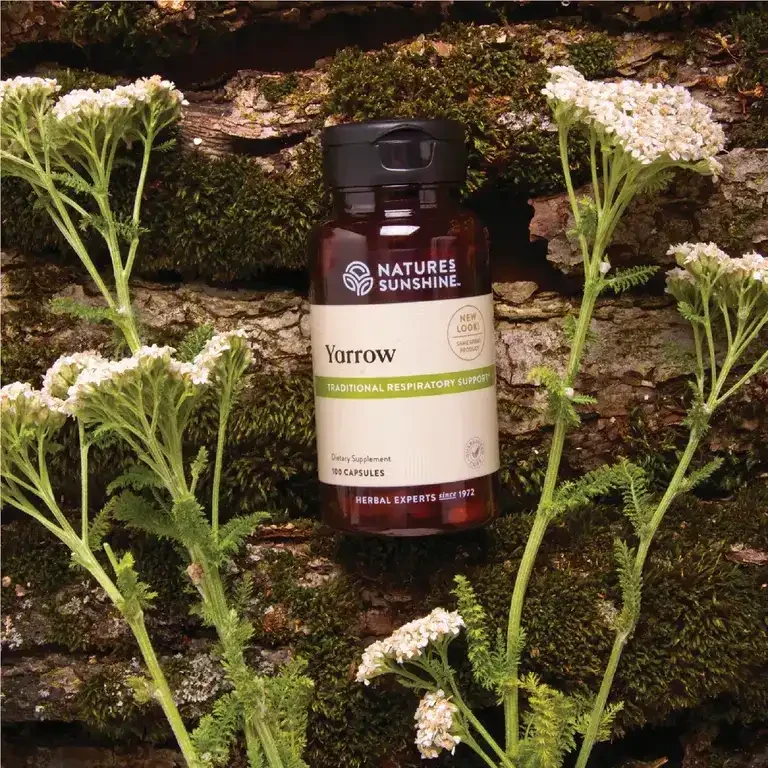 Yarrow (100 caps)