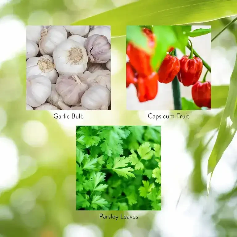 Capsicum & Garlic w/ Parsley (100 caps)