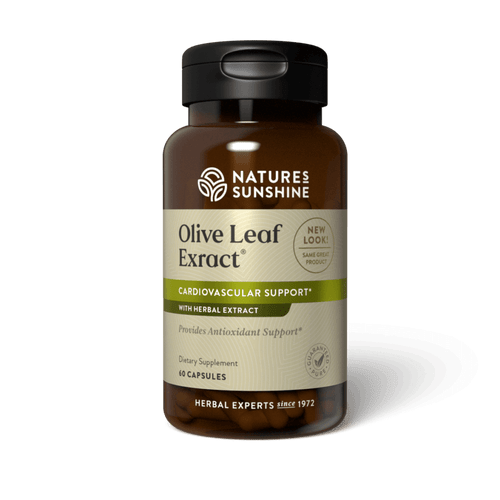 Olive Leaf Extract Concentrate (60 caps)