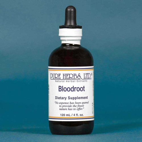 Pure Herbs, Ltd. Blood (Red) Root (4 oz.)
