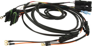 Dual Ignition Box Harness 50-2021