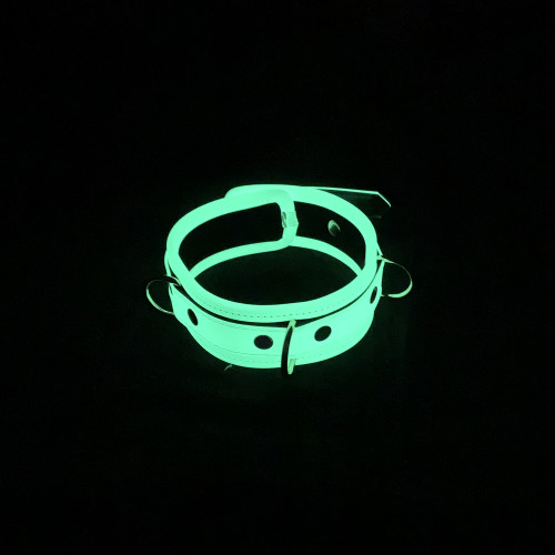 Glow In The Dark Collar & Lead