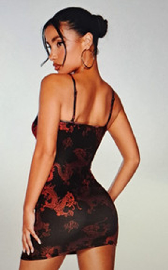 Chinese Dragon Print Dress (L)