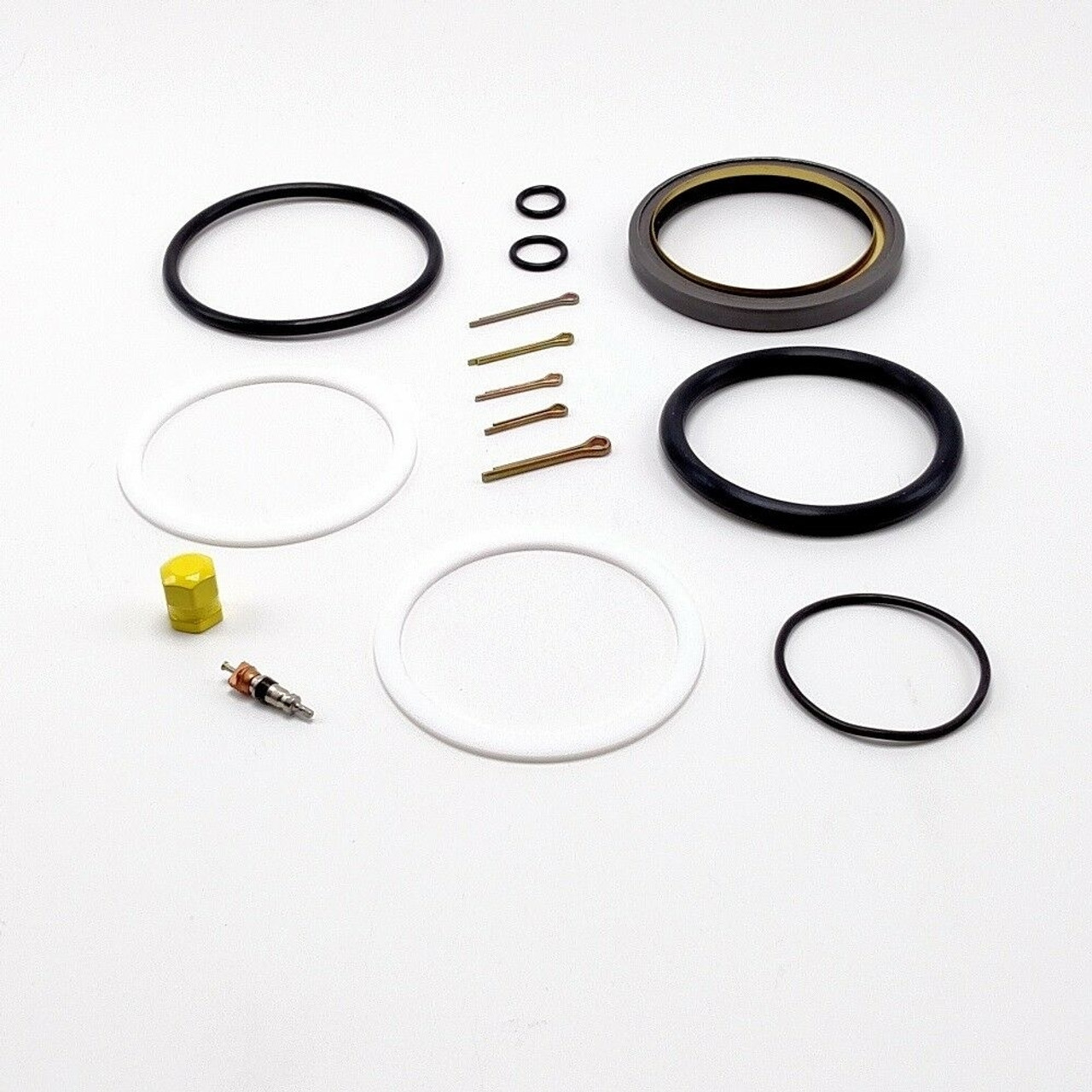 PPBARONMSSK - Beech Baron main strut seal kit