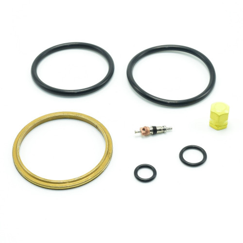 PPB55NSSK - Beech 55 Baron nose strut seal kit