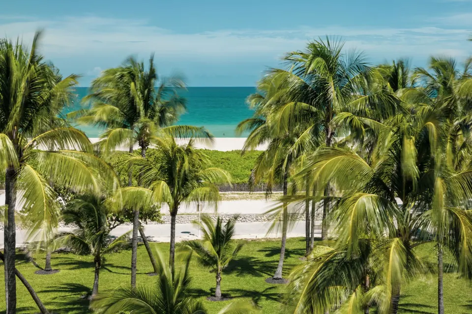 Palmeras, arena blanca y mar turquesa en Miami Beach, Florida