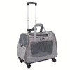 2 in 1 pet carrier