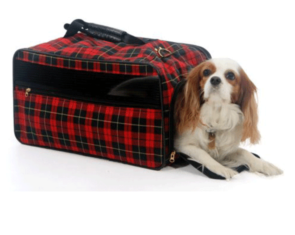 Medium Dog Pet Carrier