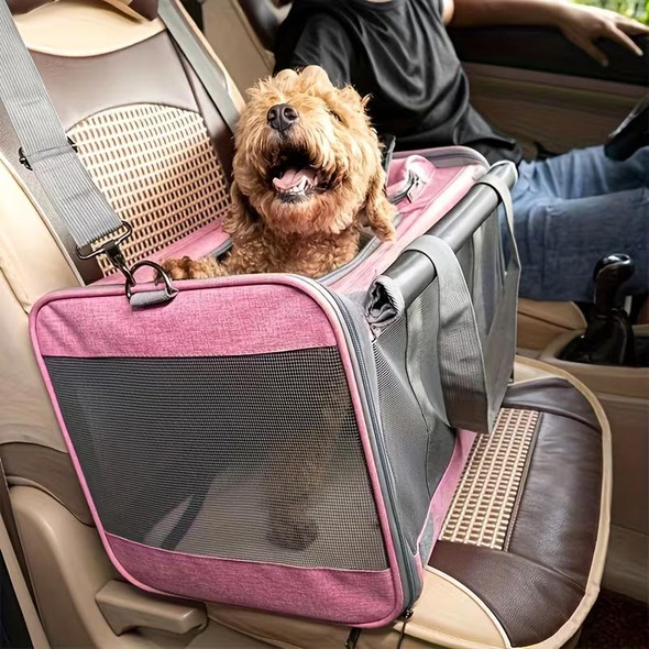 Small Pet Carrier