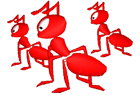 ants.png