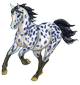 apaloosa.png