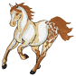 appaloosa-brown.png