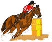 barrelracer3.png