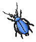 beetle.png