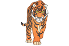 bengal-tiger.png