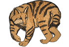 bobcat.png