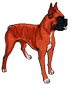 boxerdog.png