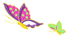 butterflies2.png