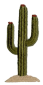 cactus2.png