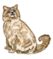 cat3.png