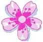 cherryblossom.png