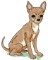 chihuahua.png