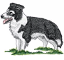 collie2.png