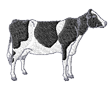 cow1.png