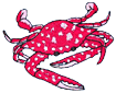 crab2.png