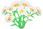 daisybouquet.png