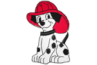 dalmatian3.png