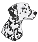 dalmation-face.png